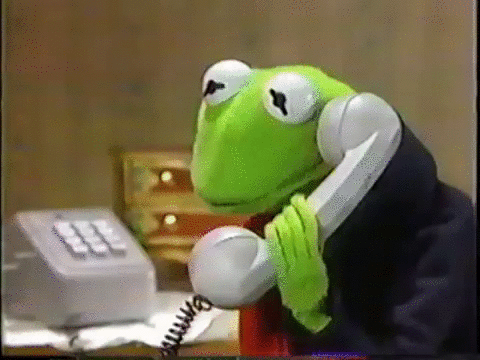 Kermit the frog on the phone GIF